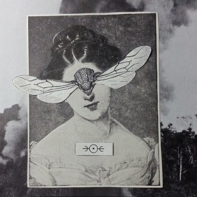 Dakhma (USA) : Split